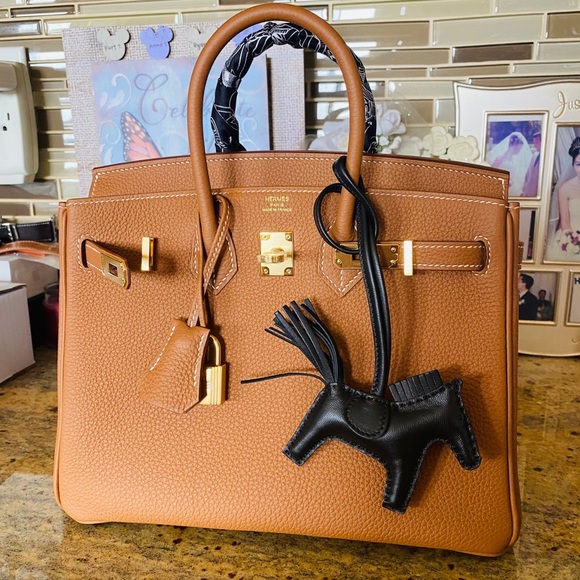 hermes birkin 25 togo